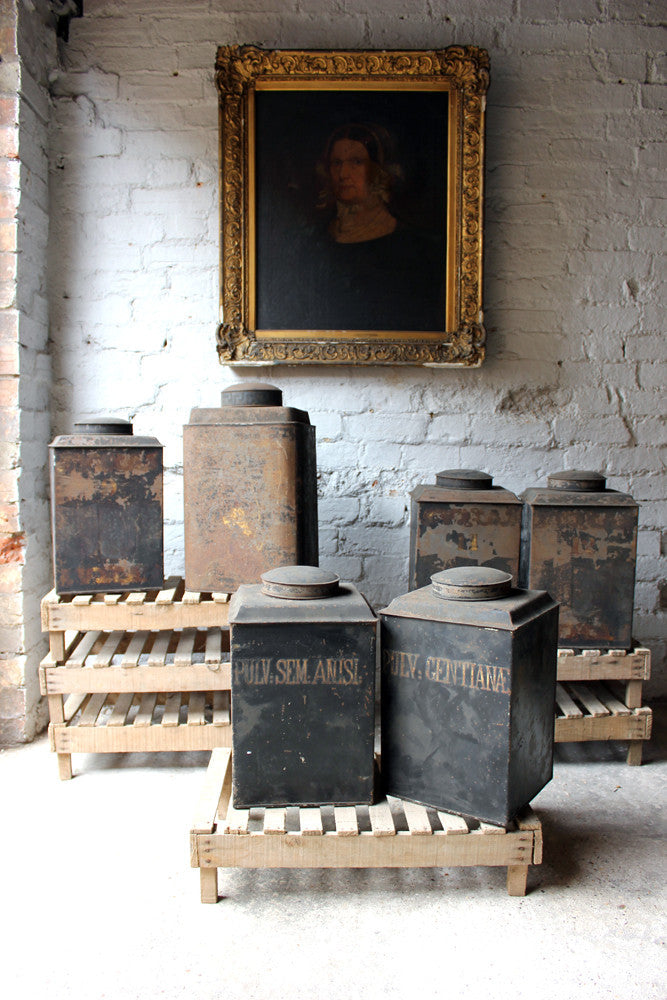 A Decorative Set of Five 19thC Black-Painted Toleware Apothecary Canisters