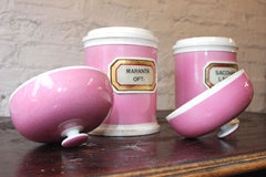 A Fabulous Pair of 19thC Porcelain LUG Apothecary Jars for Lactose Sugar & Arrowroot by the York Glass Company