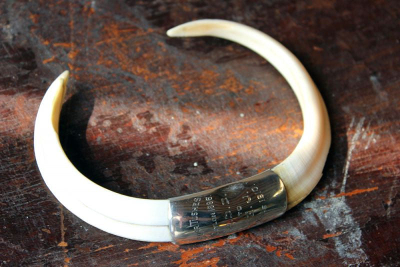 A Fine Pair of Silver Mounted Wild Boar Tusks, Ceylon, Sri Lanka c.1886