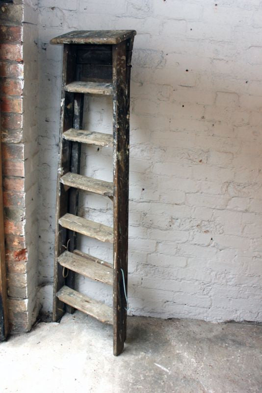 A Good Early 20thC Pine Step Ladder