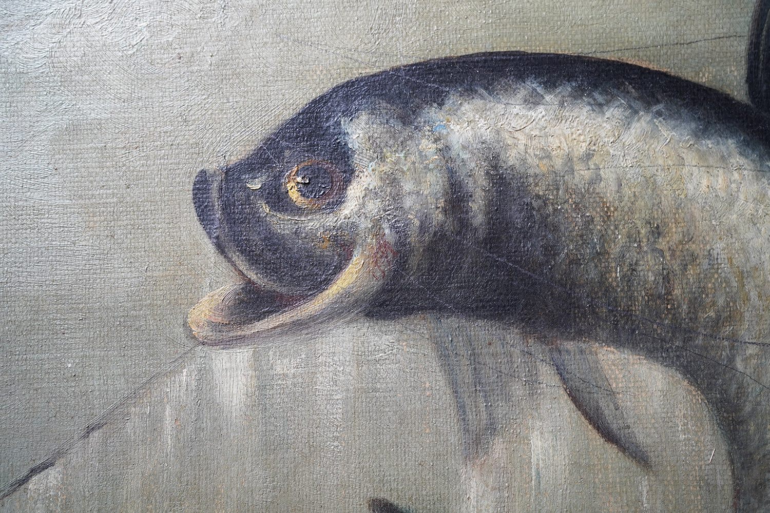 A 19thC Oil on Canvas Tarpon Fishing Study; J. Leonhard