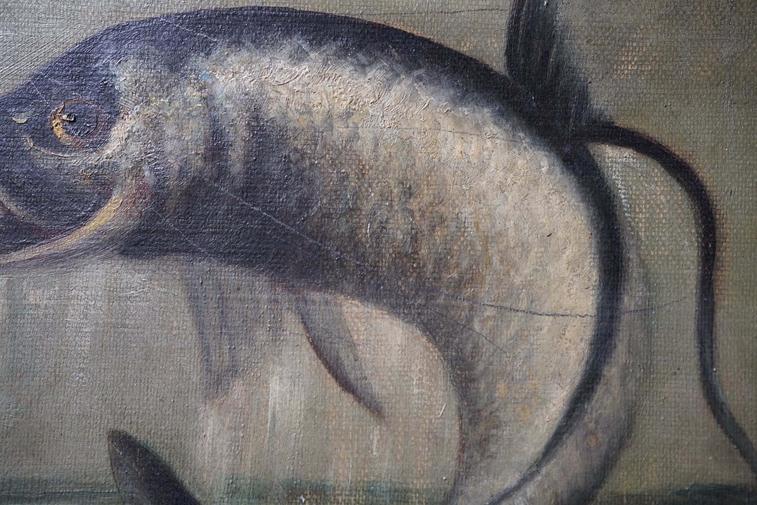A 19thC Oil on Canvas Tarpon Fishing Study; J. Leonhard