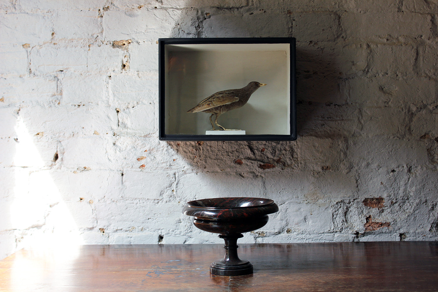 A Fine Museum Cased Taxidermy Spotted Crake c.1865-85, attributed to Robert Duncan of Newcastle Upon Tyne