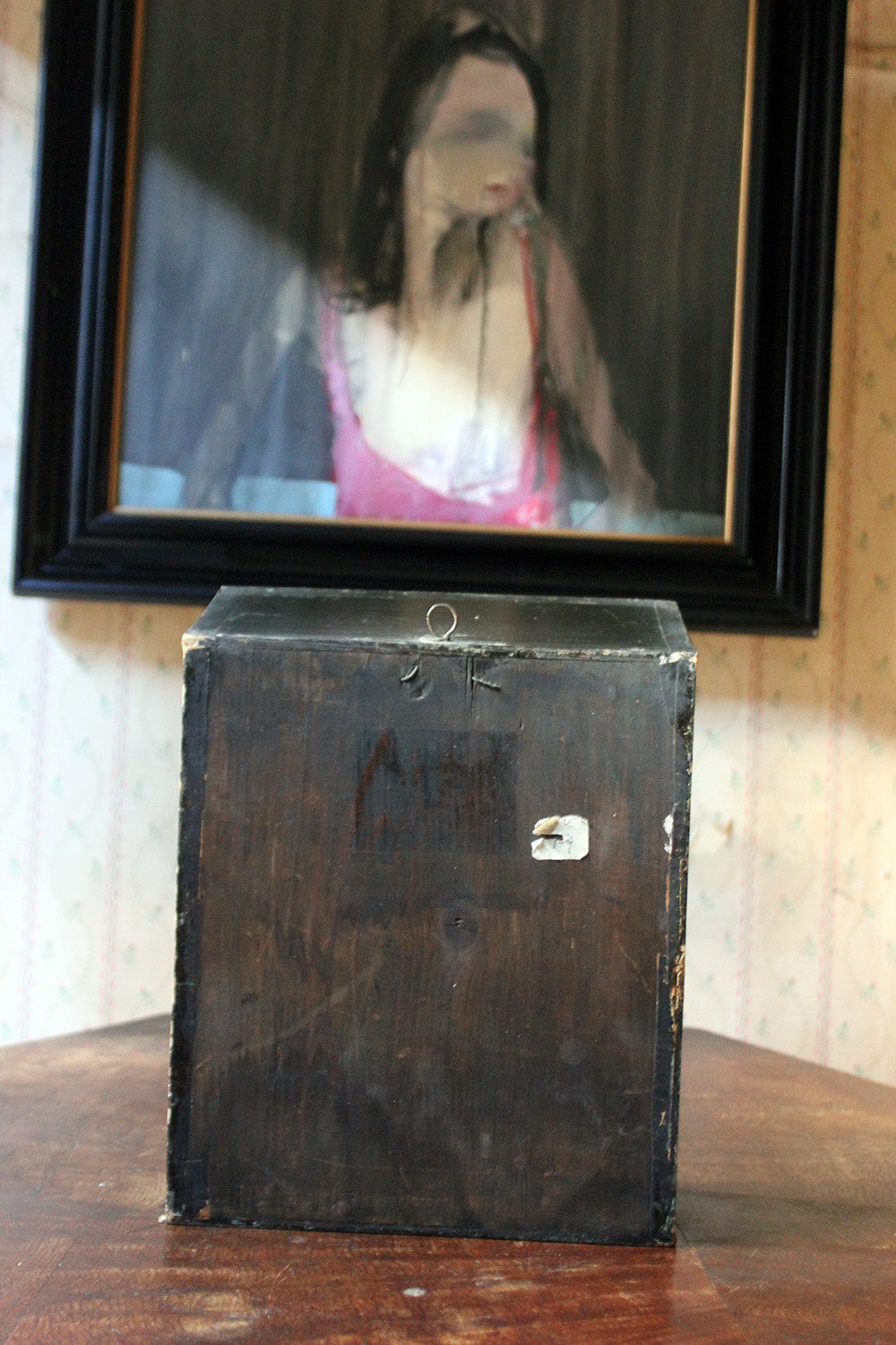 A Cased Taxidermy Little Auk c.1900