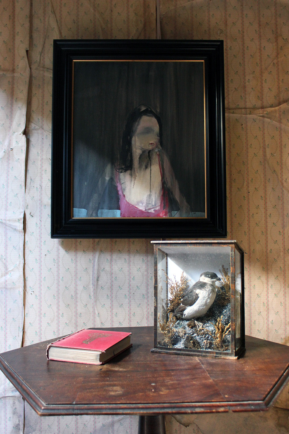 A Cased Taxidermy Little Auk c.1900
