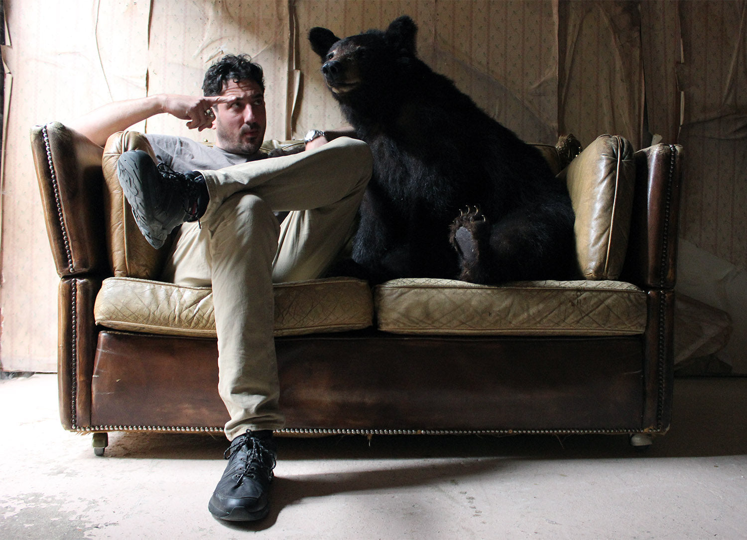 A Good Late 20thC Taxidermy Juvenile Black Bear
