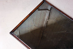 A George III Period Walnut Cushion Framed Rectangular Wall Mirror c.1800